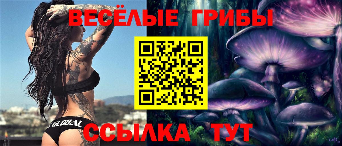 Галлюциногенные грибы Magic Shrooms Мценск